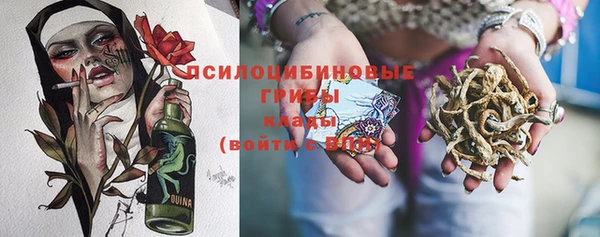 прущий лед Верея